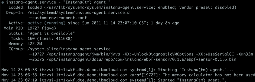 Command output of Instana agents deployed to VM with MySQL database