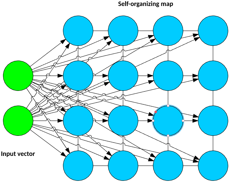 Model showing input passing through a self-organizing map