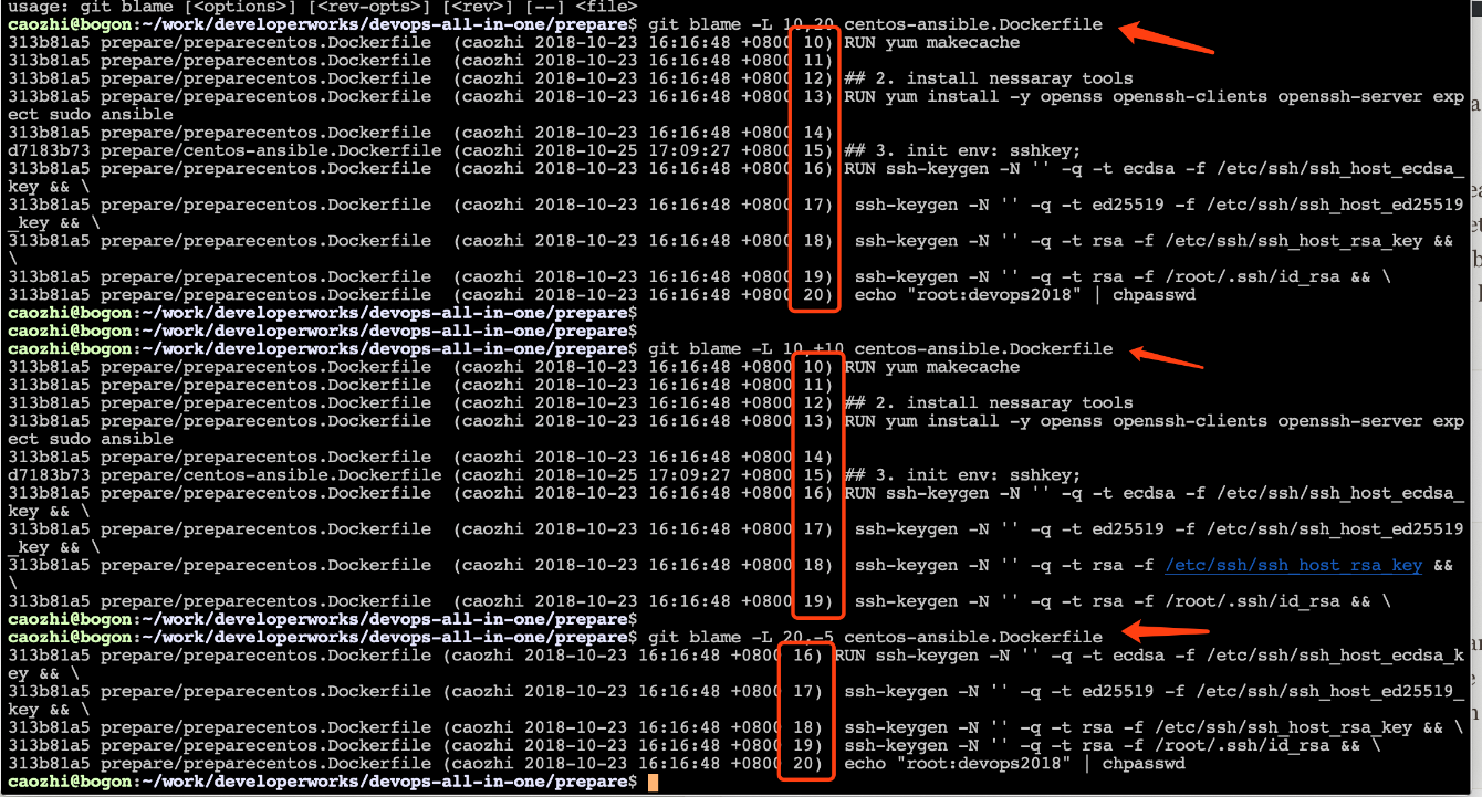 图 30. 执行 git blame -L