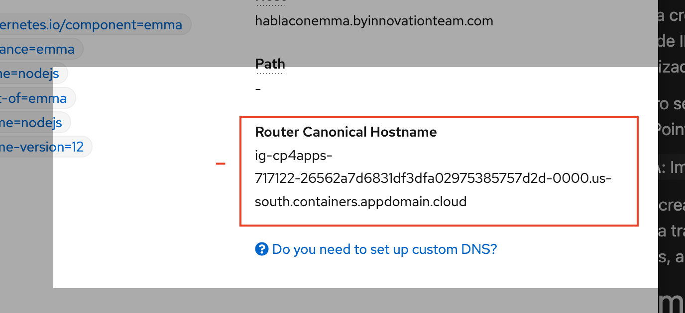 Screenshot de página mostrando el Router Canonical Hostname