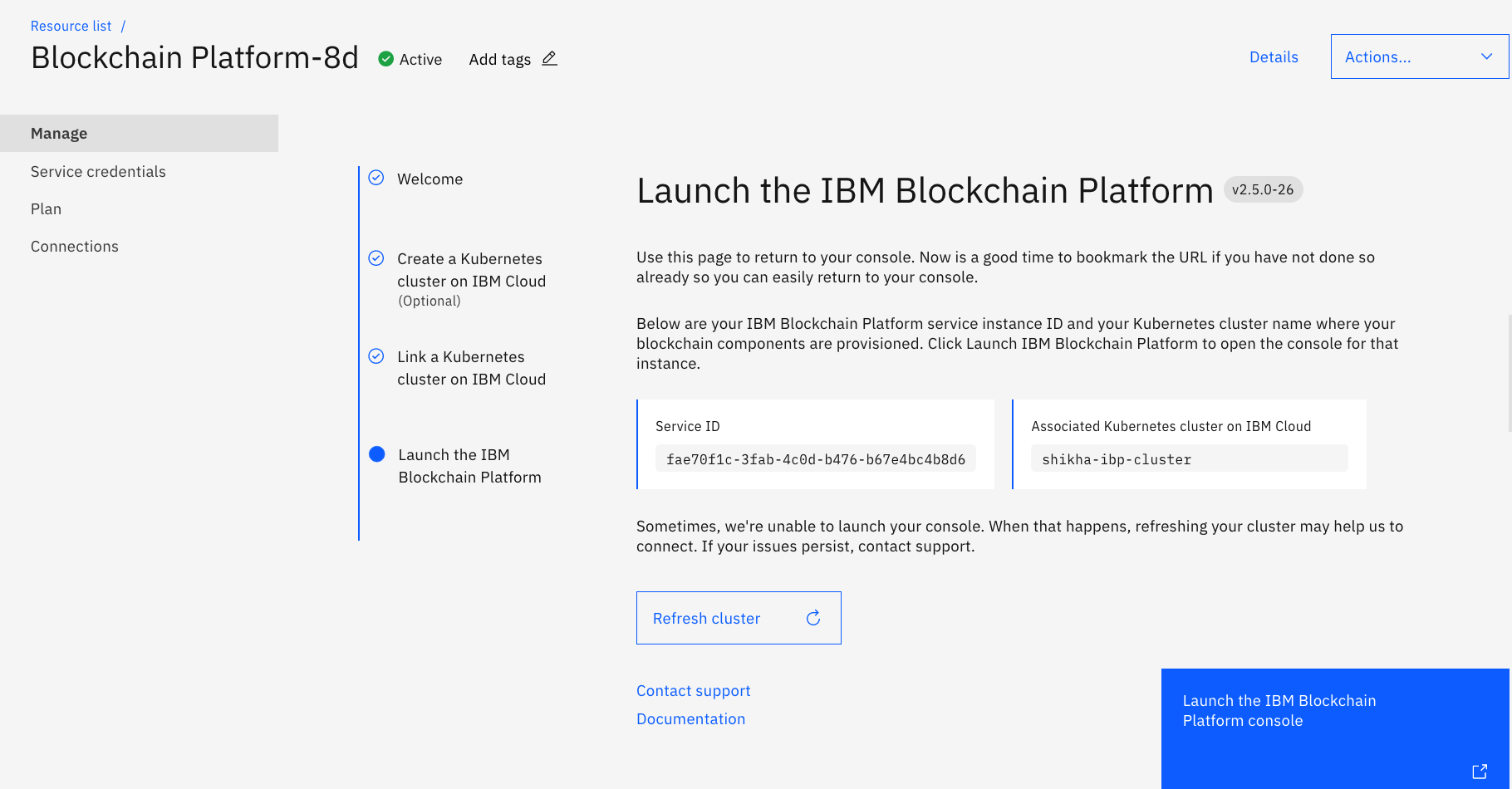 Launching the IBM Blockchain Platform